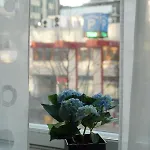 Huoneisto 2-room In Oulu, Parking *